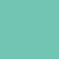 Vinyl &ndash; Permanent (1.2m / 4 ft), Mint