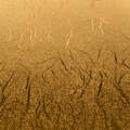 Premium Vinyl&trade; Textured Metallic - Permanent, Gold